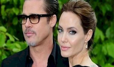 Angelina Jolie Wins Legal Battle Against Ex-husband Brad Pitt, French Winery Case