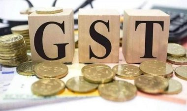 States Had Demanded GST On Food And Drink, Know What The Revenue Secretary Said On Tax Evasion