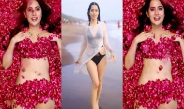 Urfi Javed Did A Bold Photoshoot Without Clothes, Fans Were Surprised To See The Video