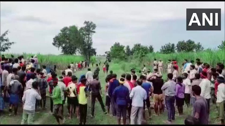 Work of 'man-eating tiger' of Bihar is done, seeing the footprints, expert shooters riding on elephants piled up like this