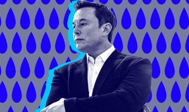 Twitter starts laying off employees, mail being sent to employees, Elon Musk wants to cut expenses