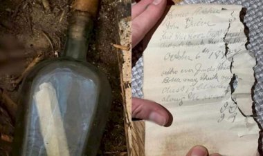 A 135-year-old Letter Was Found Sealed In A Wine Bottle Under The Floor Of The House! The Woman's Senses Flew Away After Reading