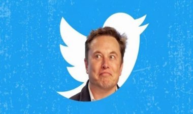 The Service Will Be Re-launched On December 2, Now The Tick Mark Will Be In Three Different Colors