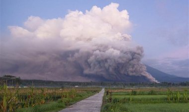 Semeru volcano erupts again in Indonesia, evacuation continues