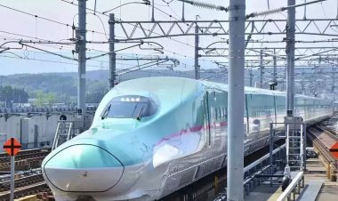 Thousands of 'mangrove' trees to be cut for Mumbai-Ahmedabad bullet train project, court approves