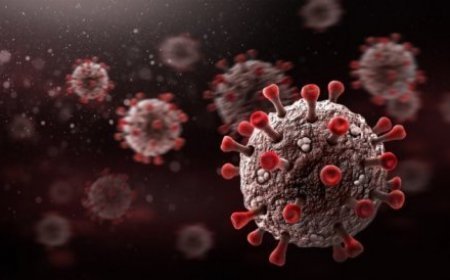 Like China, India is not a serious threat from Corona's 'BF.7' variant, claims expert