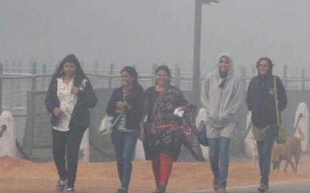 Nine times more deaths due to cold than summer every year in the world