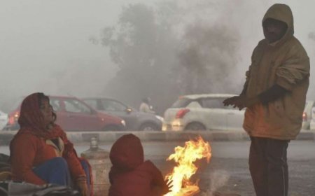 Winter in North India: Severe cold and dense fog in Delhi, Punjab, Haryana, IMD issues alert