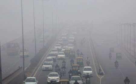 Delhi's air quality deteriorates again, ban on BS3 petrol and BS4 diesel cars