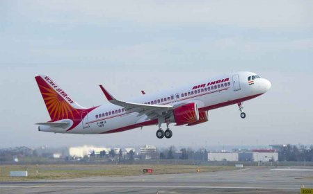 DGCA's big action on Air India, fine of 30 lakhs, pilot's license suspended