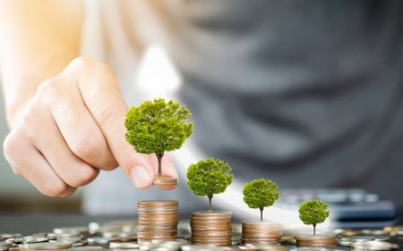 India's first green bond will be auctioned tomorrow, government wants to raise Rs 160 billion before March 31          