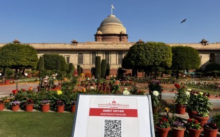 Rashtrapati Bhavan Mughal Garden renamed, will now be called Amrit Udyan