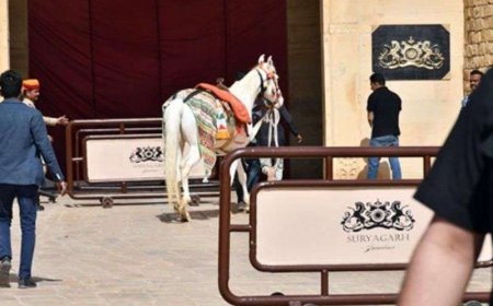 Siddharth's Kiara, completed with seven promises, Suryagarh Palace immersed in celebration