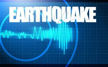 5 magnitude earthquake jolts Nicobar Islands, no loss of life or property