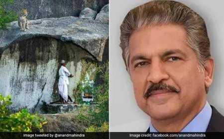 Anand Mahindra's Tweet on Fearless Old Man During Puja Goes Viral