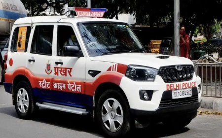 Delhi Police busts Fortuner robbery gang, 6 people arrested with foreign weapons