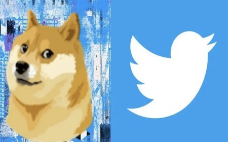 Elon Musk changed the logo of Twitter: by flying a bluebird! Doge's picture posted, users surprised