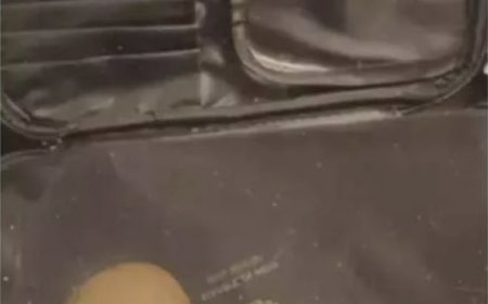 Priyanka Chopra was caught smuggling this thing abroad! Photo Viral