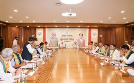 BJP Leaders' Lengthy Meeting Indicates Government-to-Organization Shift, Minister Departures Finalized.